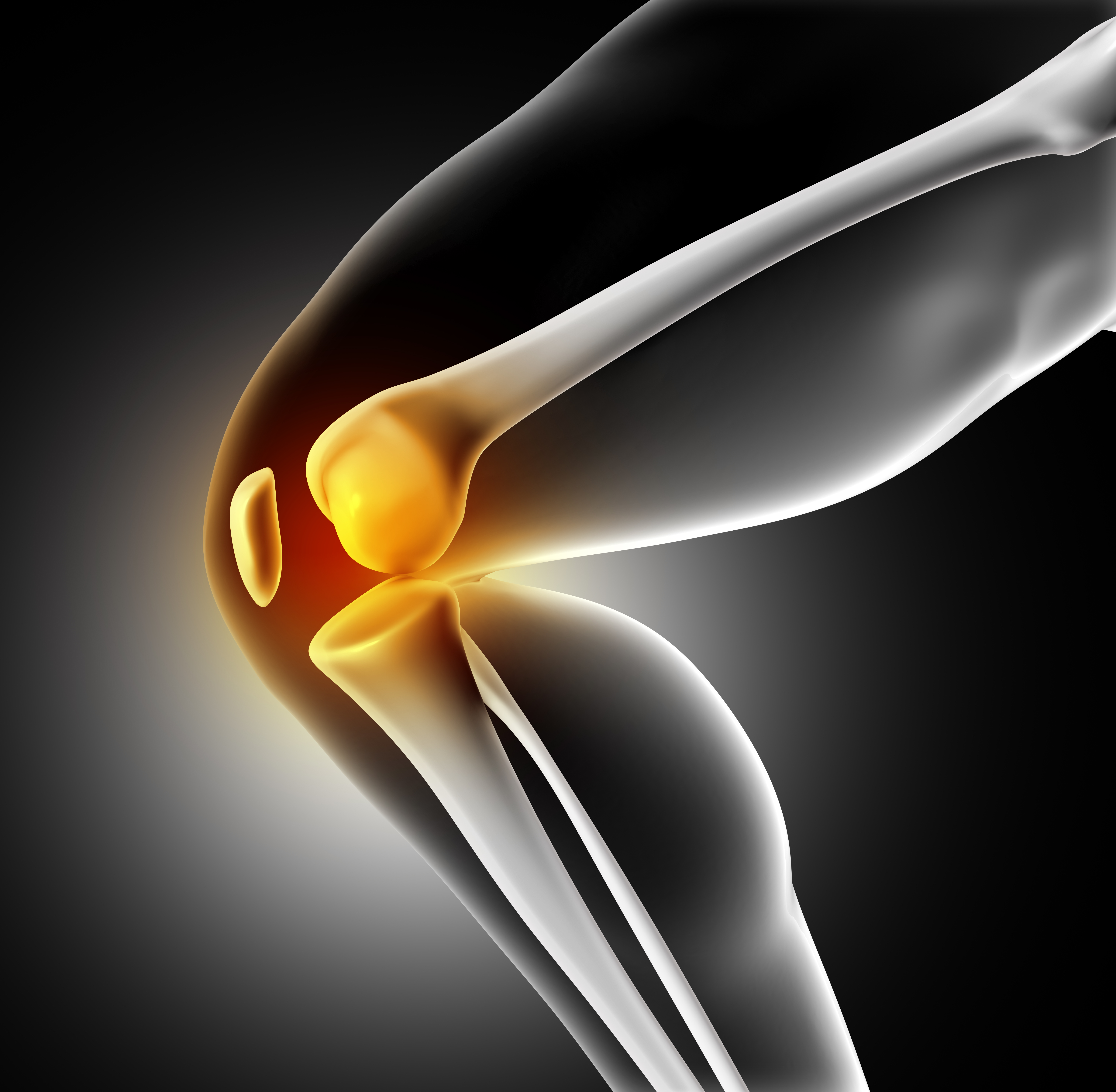 3D render of a medical image of close up of knee joint